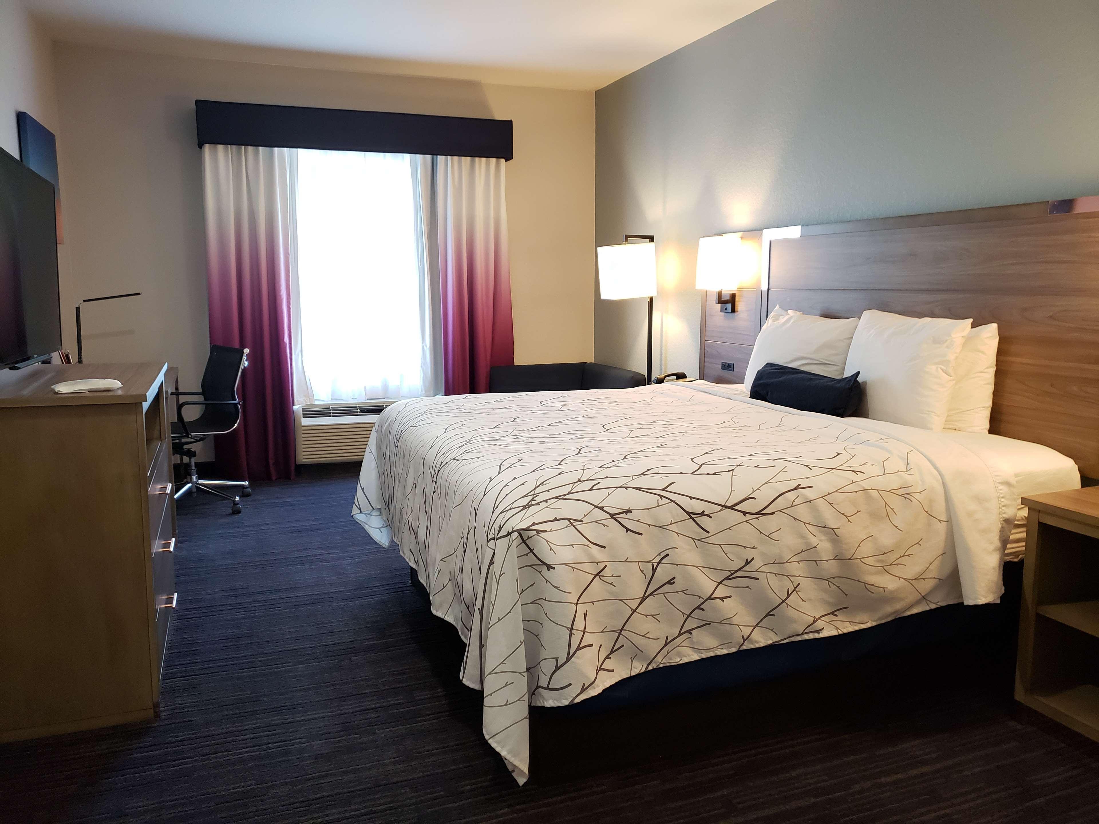 Best Western Plus San Antonio East Inn & Suites Exterior foto